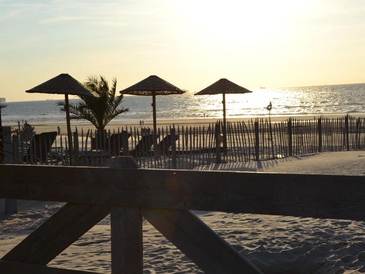 Unique Bungalow On The Dunes At Only 700 M From The Beach جرافنزانده المظهر الخارجي الصورة